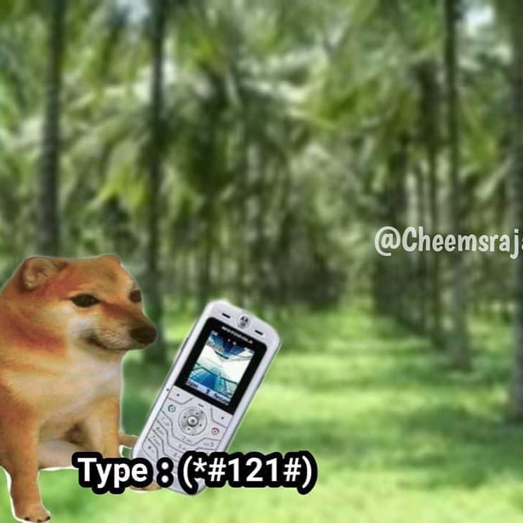 Lollu Sabha - ©Cheems Rajah | Facebook