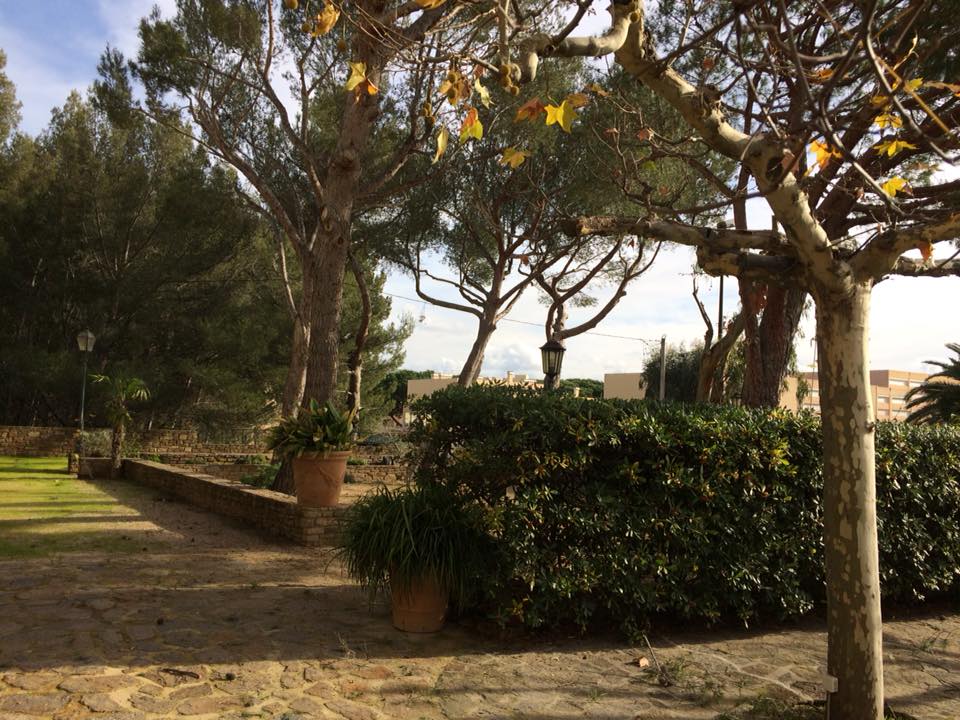Hôtel De La Plage Bormes Les Mimosas Hdlp Inicio Facebook