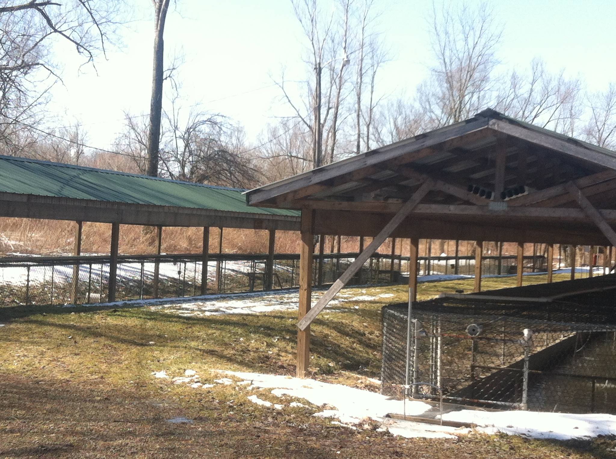 Albion Sportsmen's Club Trout Raceway - nursery - Home
