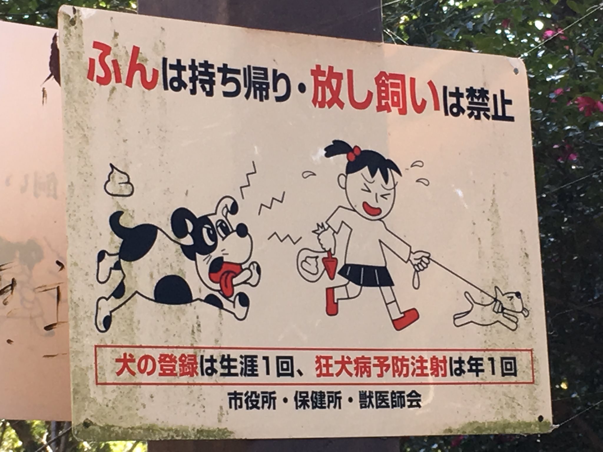 The Poopy Dog Signs in Japan