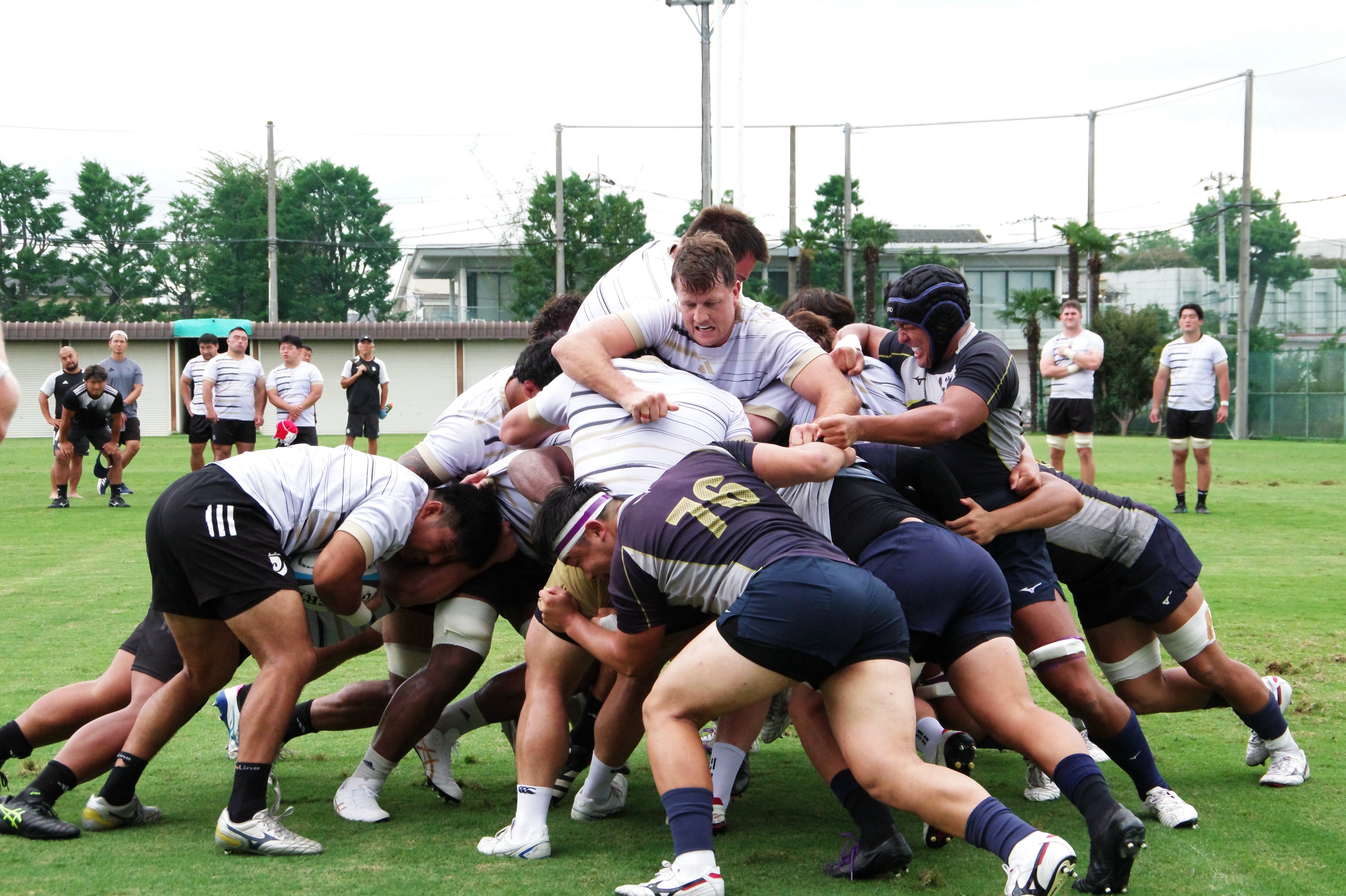 明治大学ラグビー部練習用ジャージ TRAINING PHOTO】 9月15日(火)に #リコー総合グラウンド にて、#明治