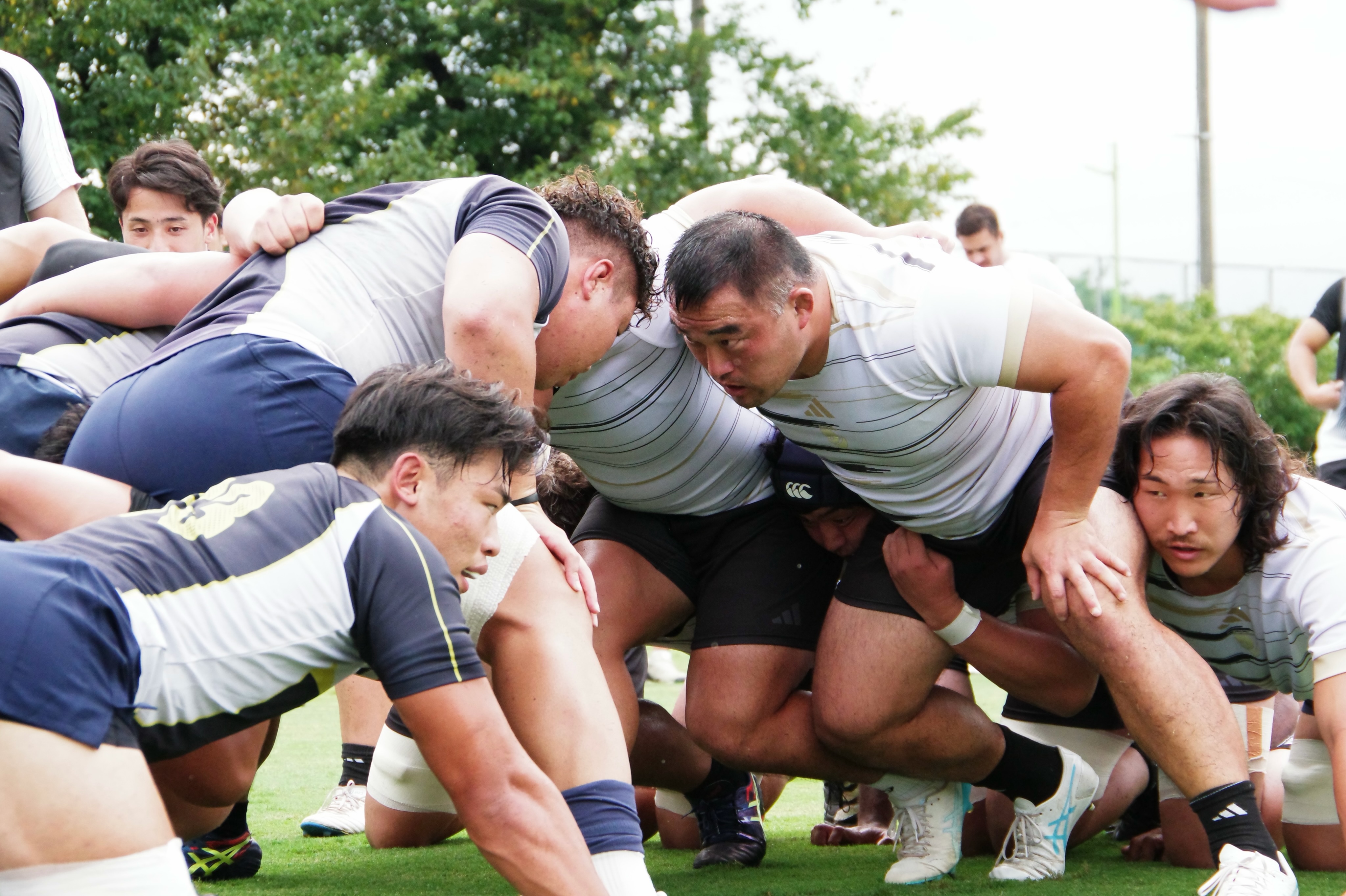 TRAINING PHOTO】 9月15日(火)に #リコー総合グラウンド にて、#明治