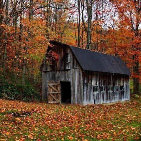 Guernsey County Ohio History & Genealogy | Searching Stillion/Stillions ...