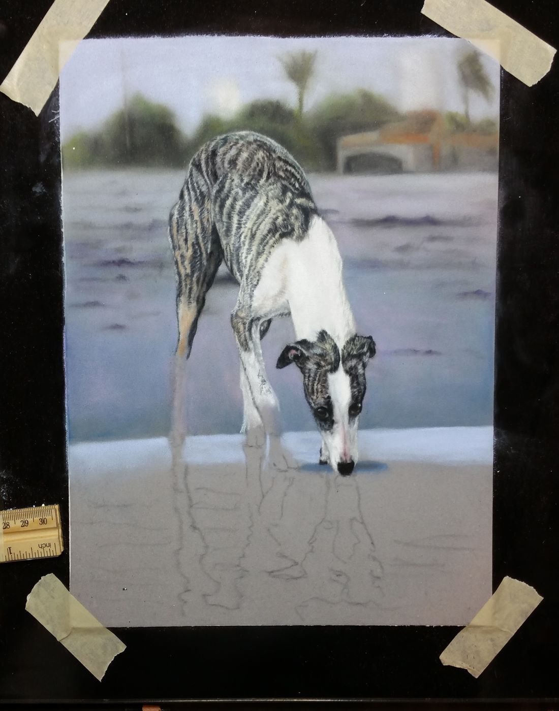 Fine Art by Sandi Rolfe - Home | Facebook