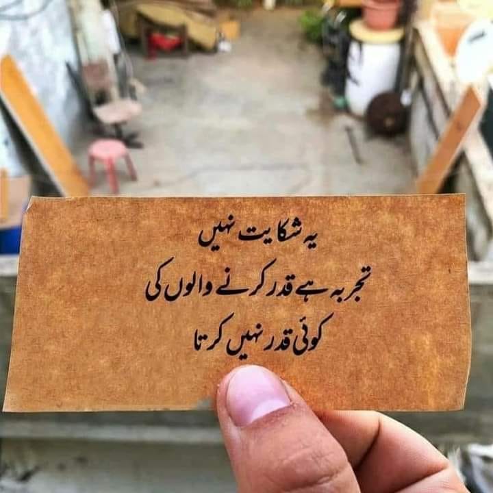 Shakir Rizvi