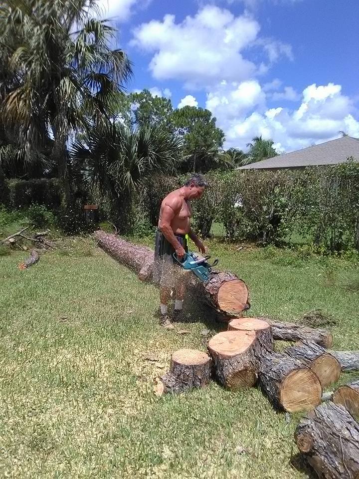 Marsh Tree Service | West Palm Beach FL