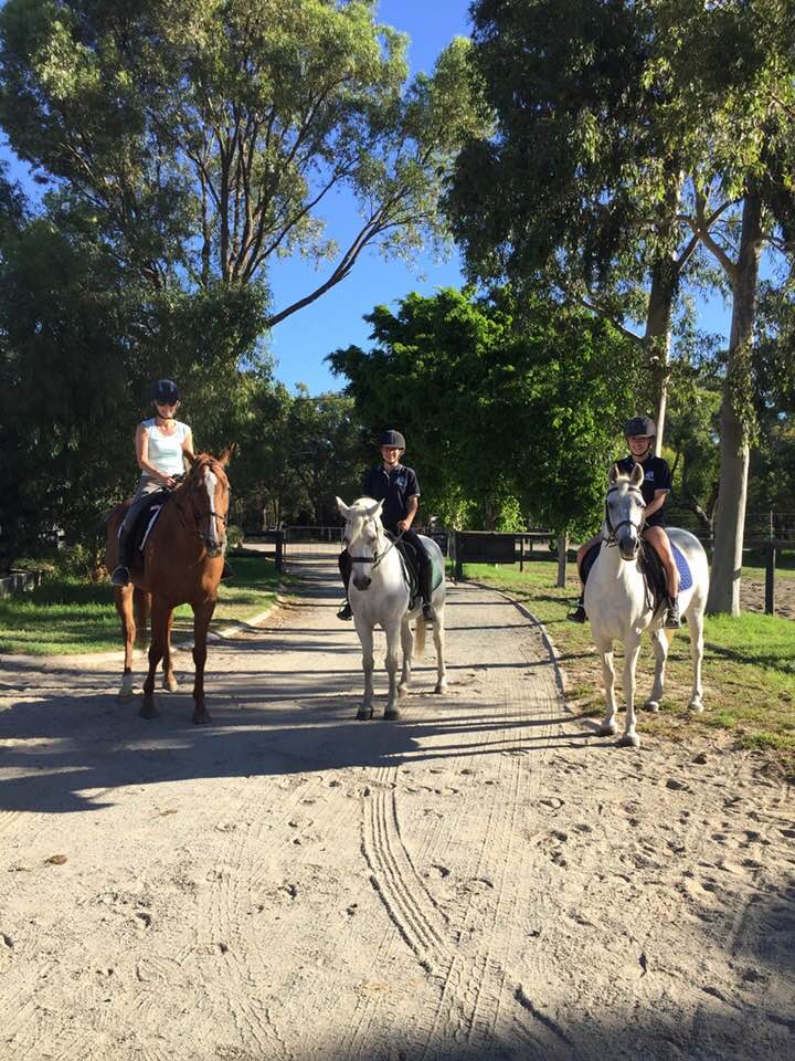 ROSEVALE RIDERS | Facebook
