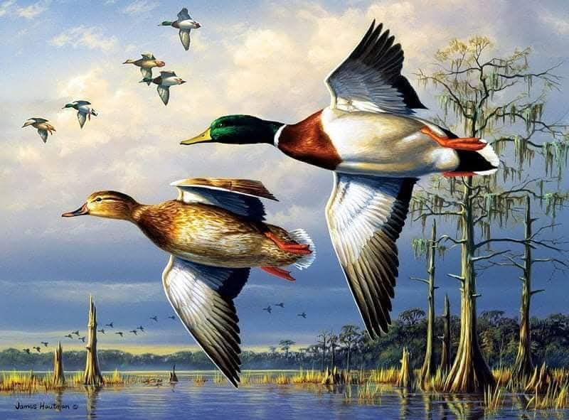 Framed wildlife art print by Jim Hautman. This piece is a print