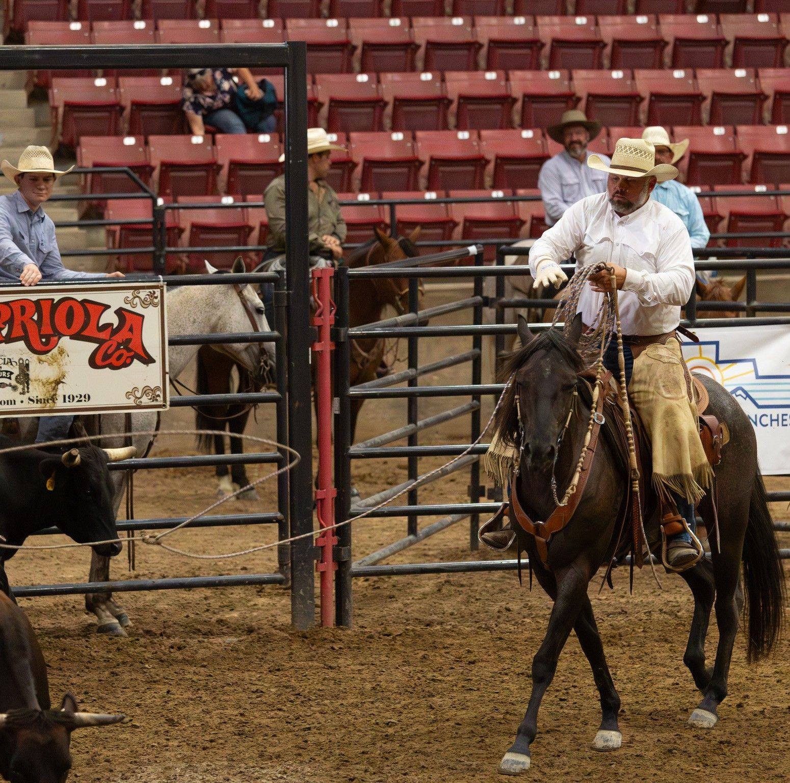Cow-Reining-Ranch Horses | Needing to purchase a cutting flag, prefer ...