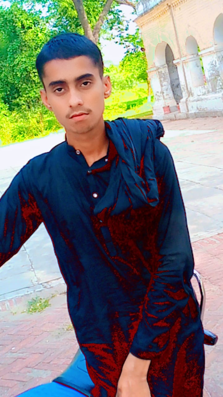 Raja Javed