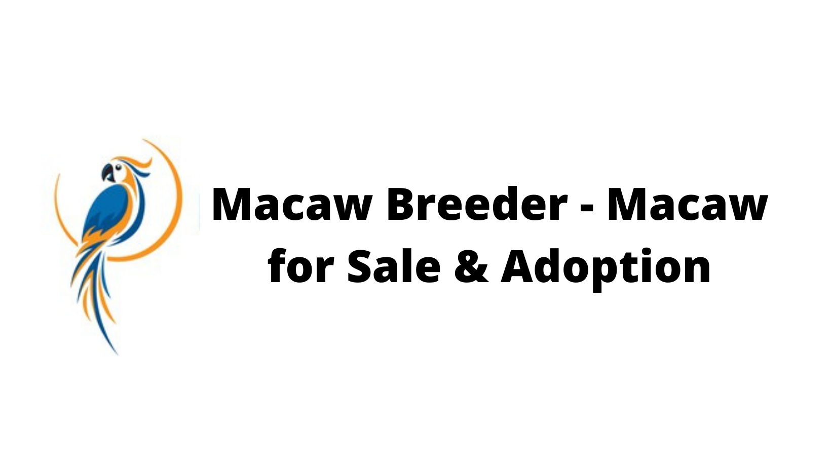 Macaw Breeder - Macaw for Sale & Adoption