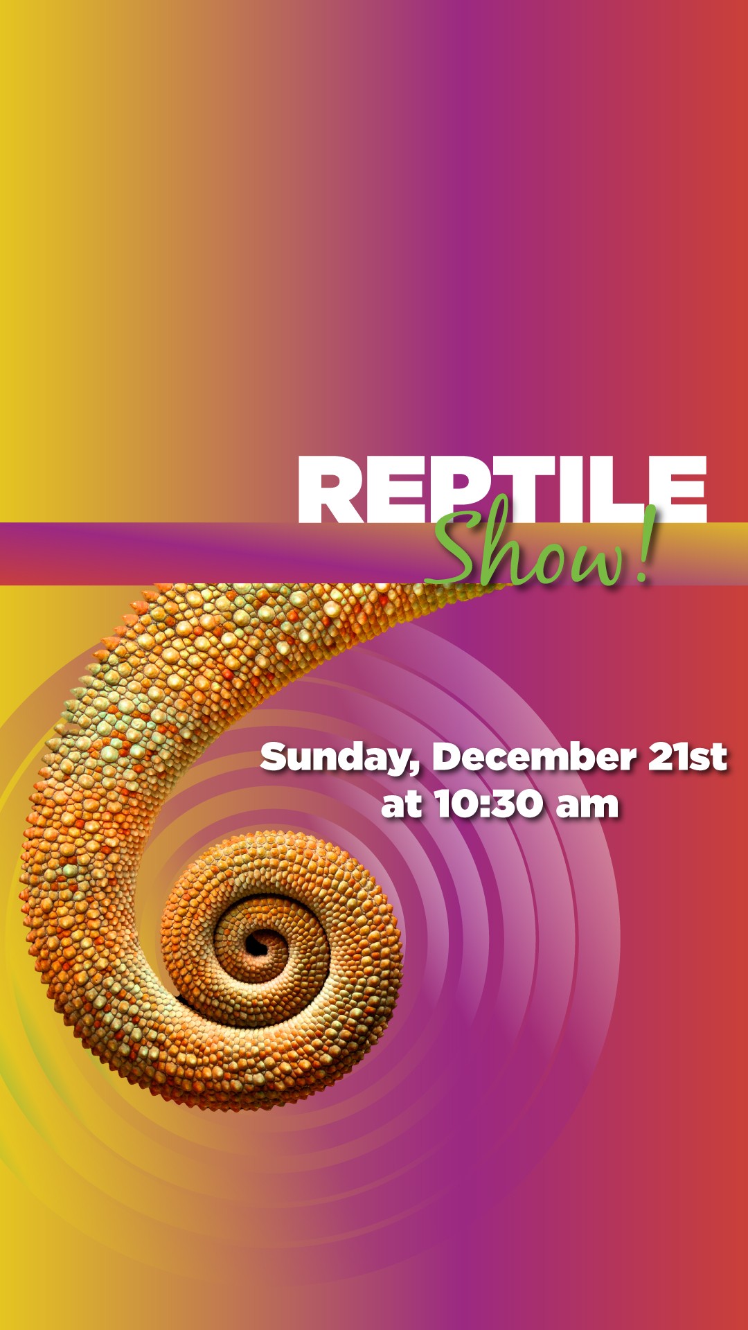 Reptile Show - Live at Jelly Bean Entertainment!