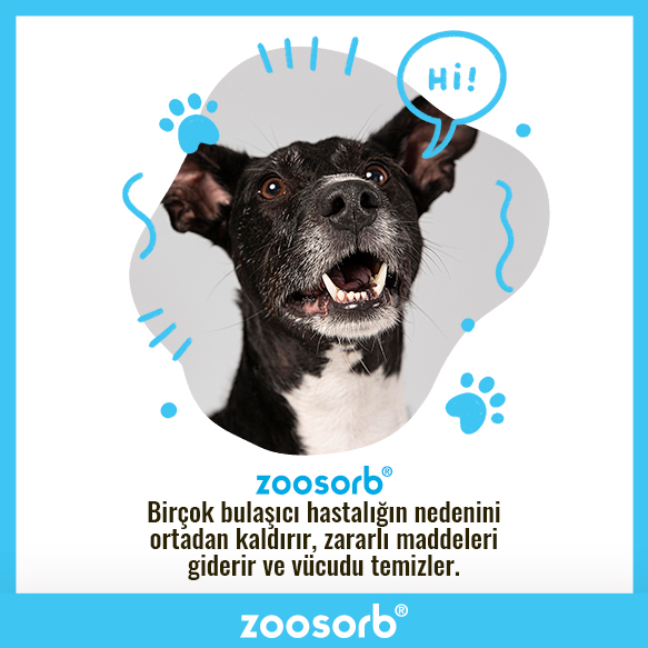 Zoosorb | Ankara