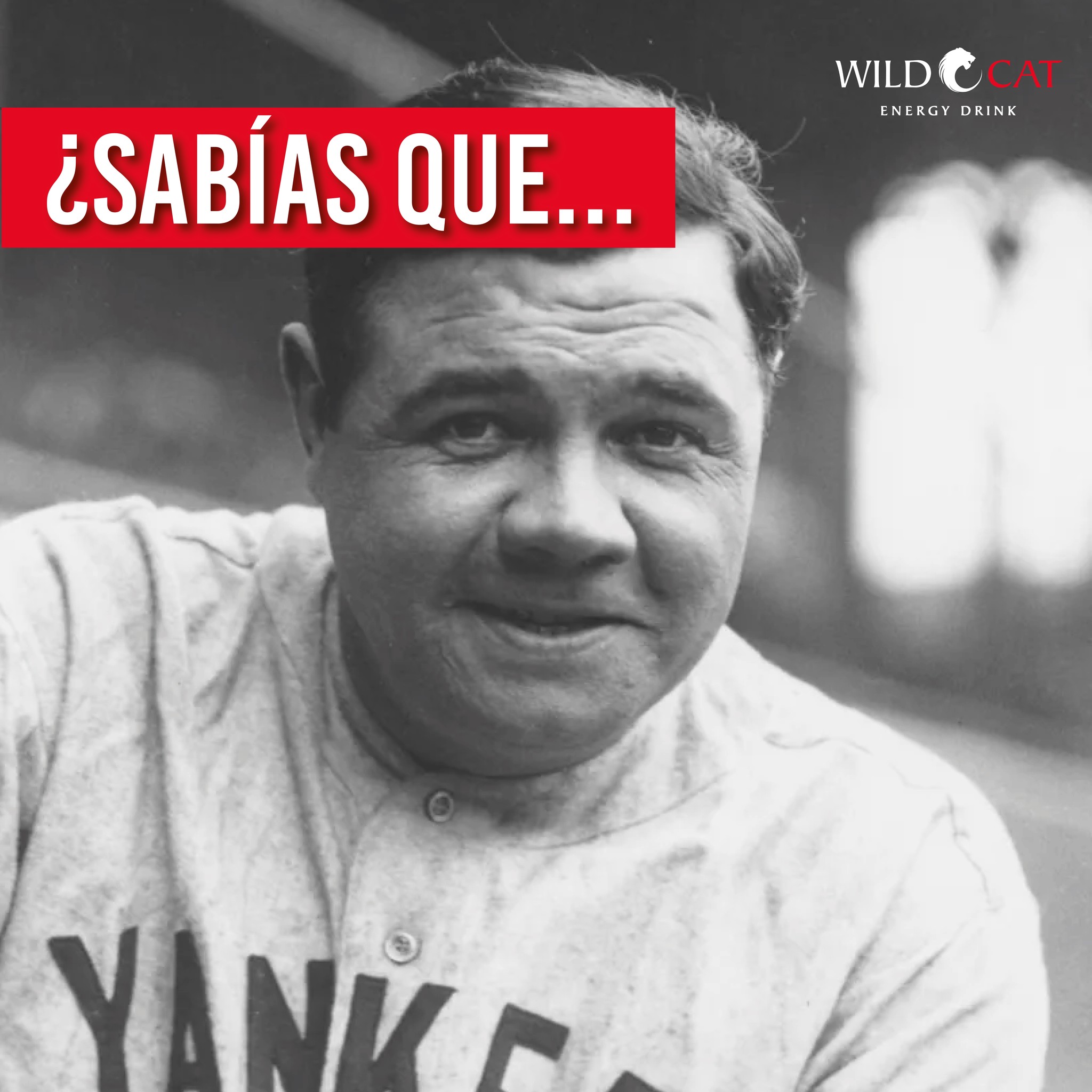 WildCat México - Una camiseta de babe Ruth de 1928 con un...
