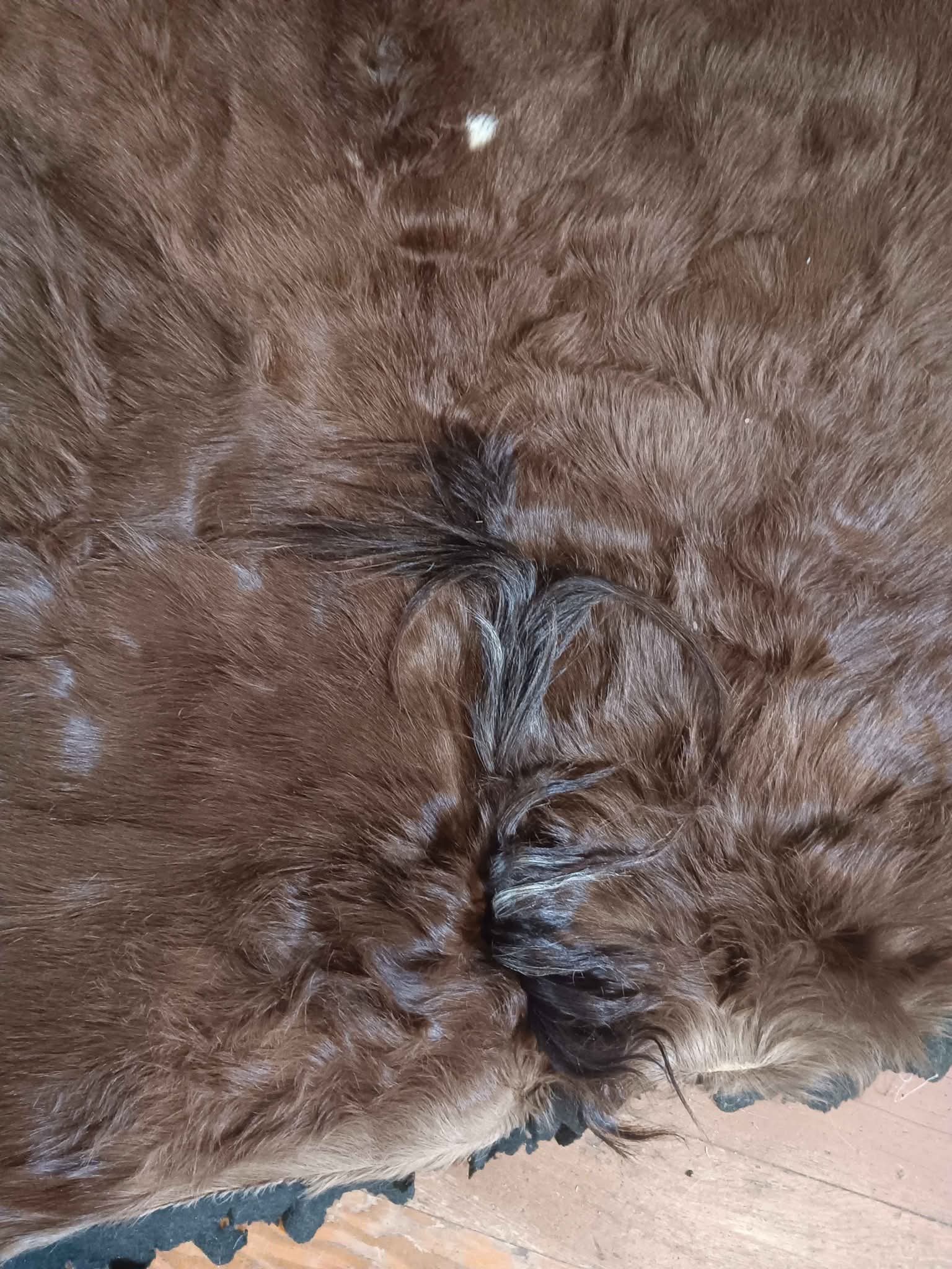 Carriage Sleigh Blanket Winter Horsehair and Wool from Three Rivers ...