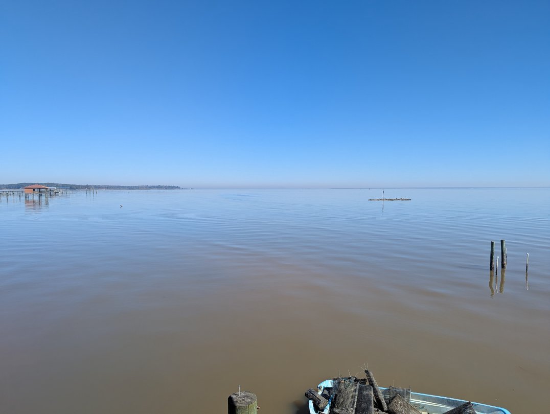 Auburn University Shellfish Lab | Dauphin Island AL