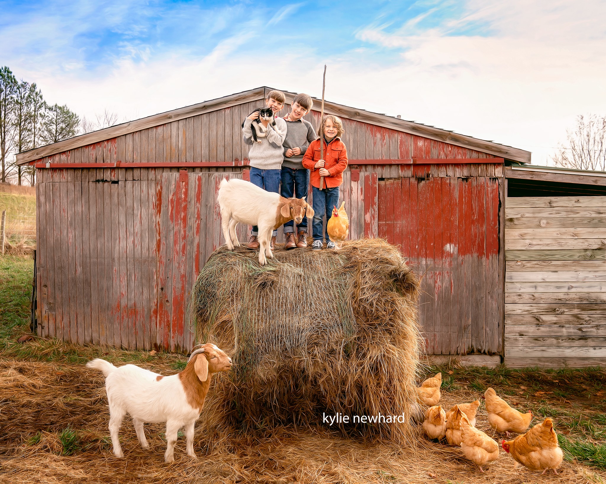 Roving Hills Farm