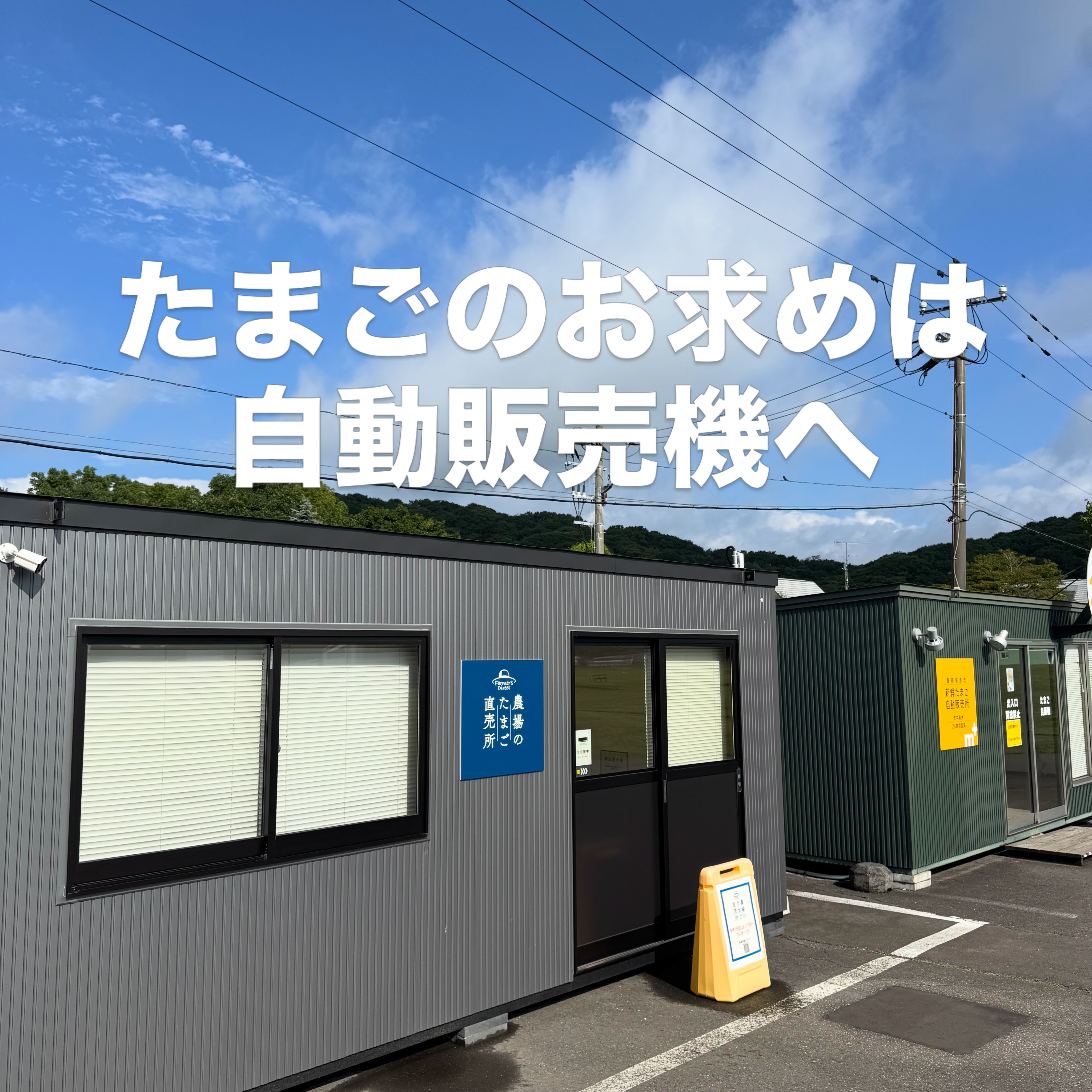 マザーズたまごアートコンテスト2026🎨 たくさんのご応募誠に