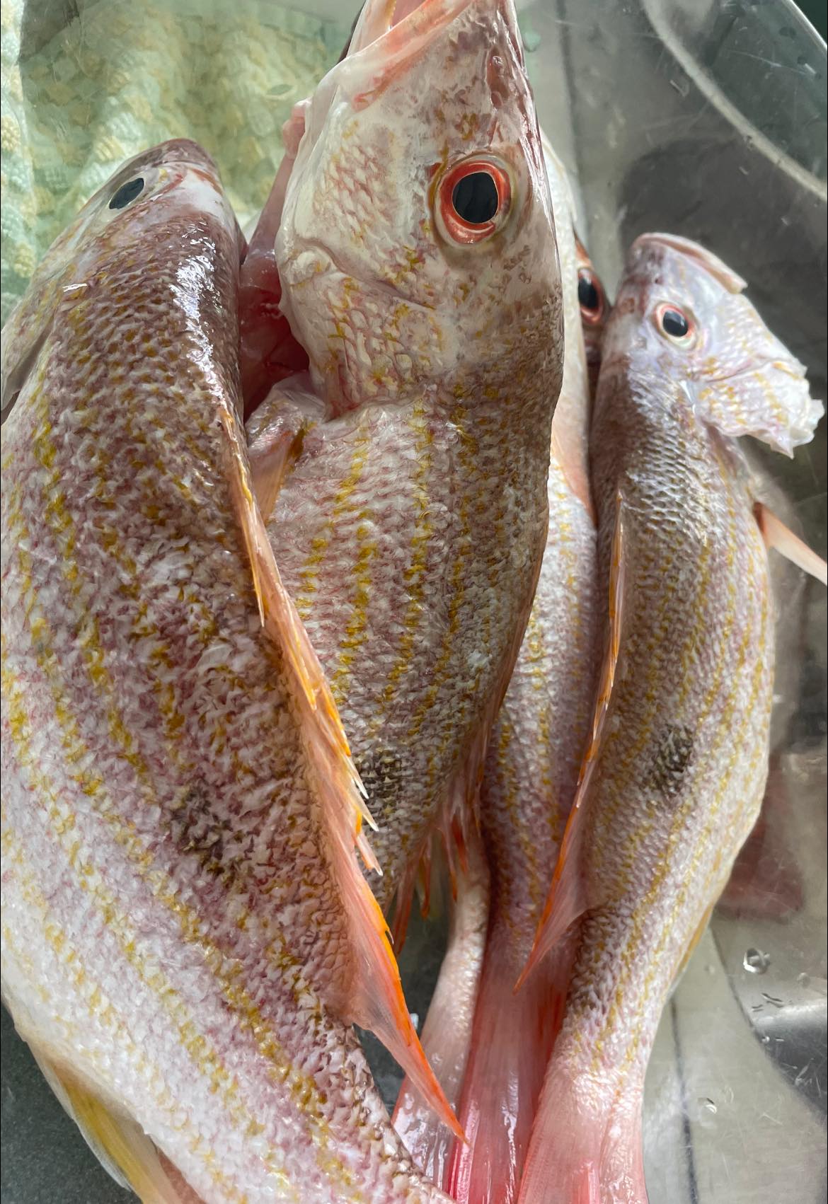 La abuela acaba de traer pescado... - La Cocina Criolla | Facebook