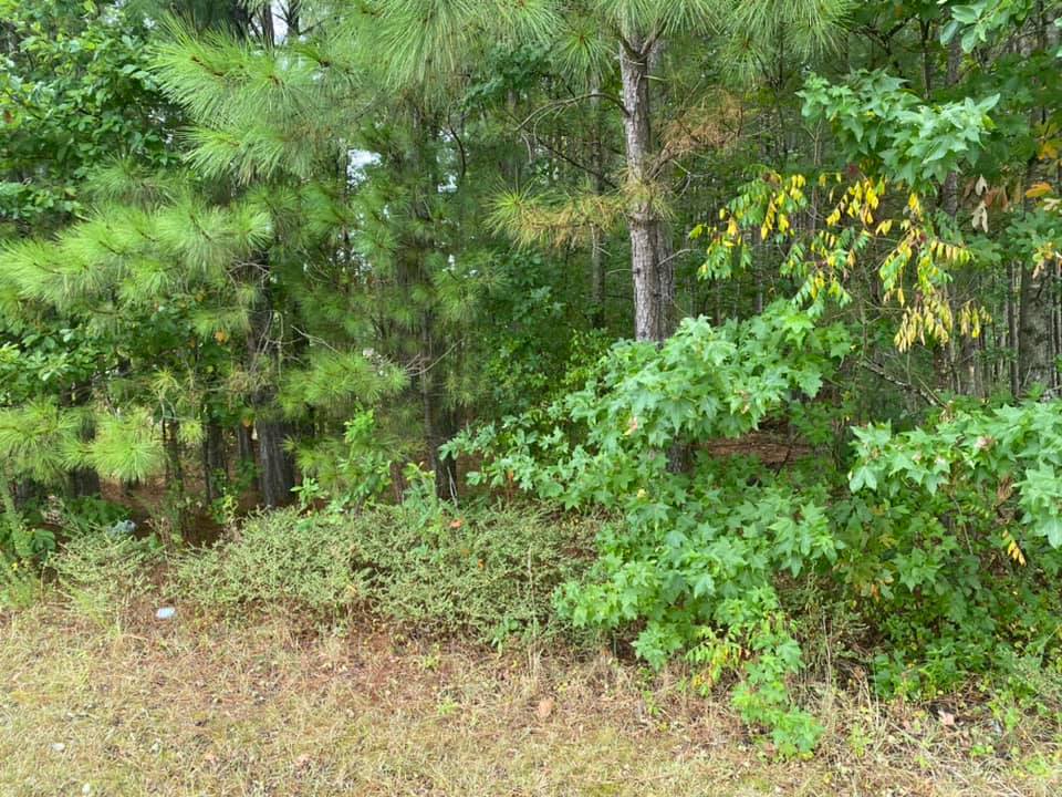 Toland Shipp, LLC | Little Rock AR