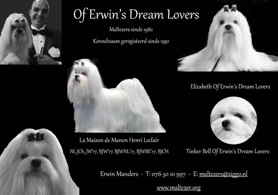 Erwin Manders