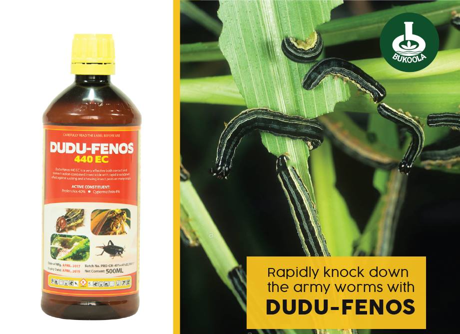 Bukoola Chemical Industries Ltd - A very effective insecticide with ...