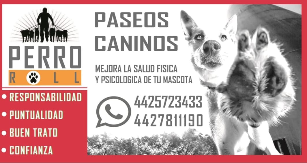 Perro-Rol