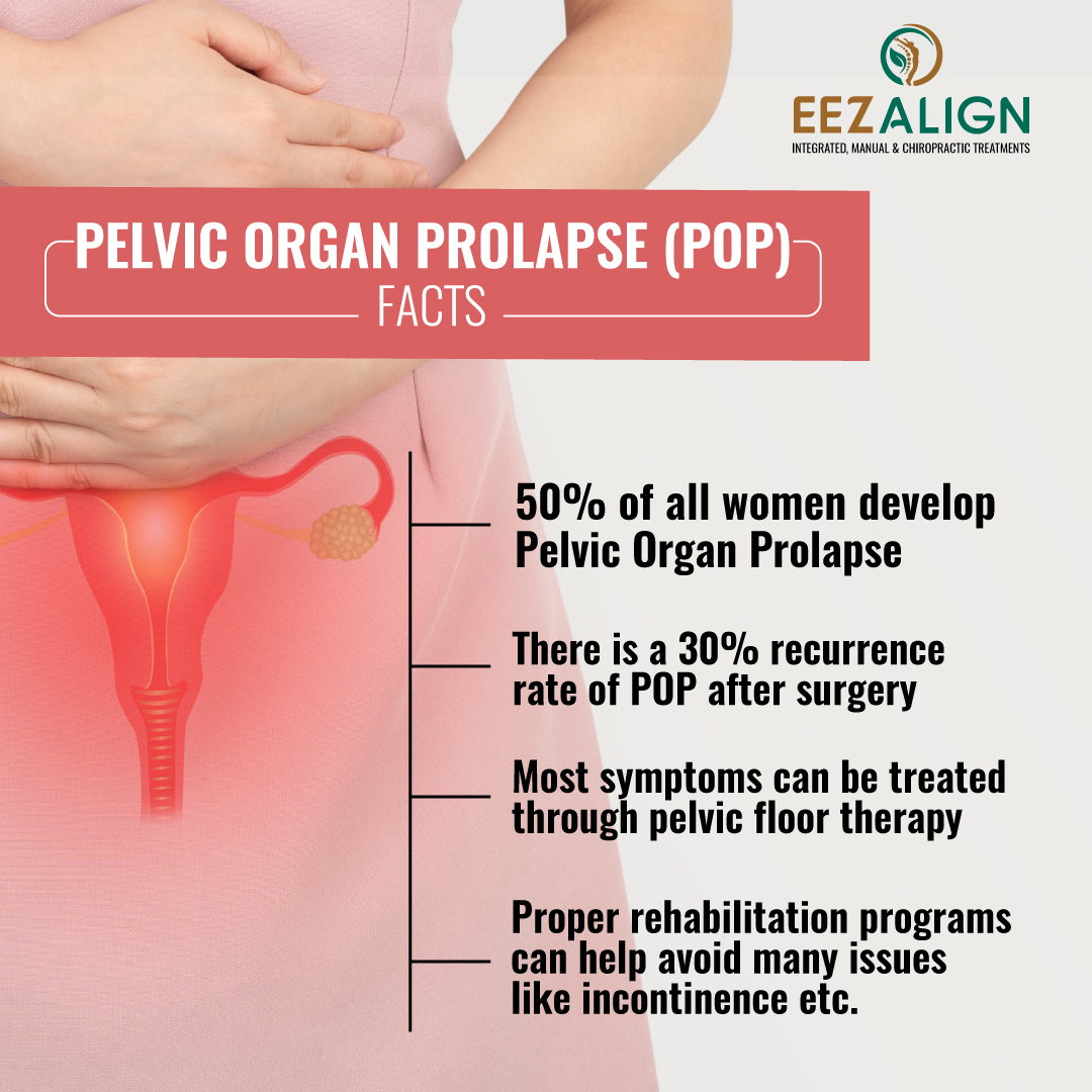 EEZ ALIGN - The pelvic floor muscles support the bladder,... | Facebook