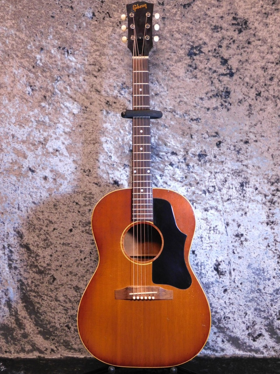 Guitar - AP(ARIA CUSTOM SHOP) NXG-01 アリアの不思議なエレガット