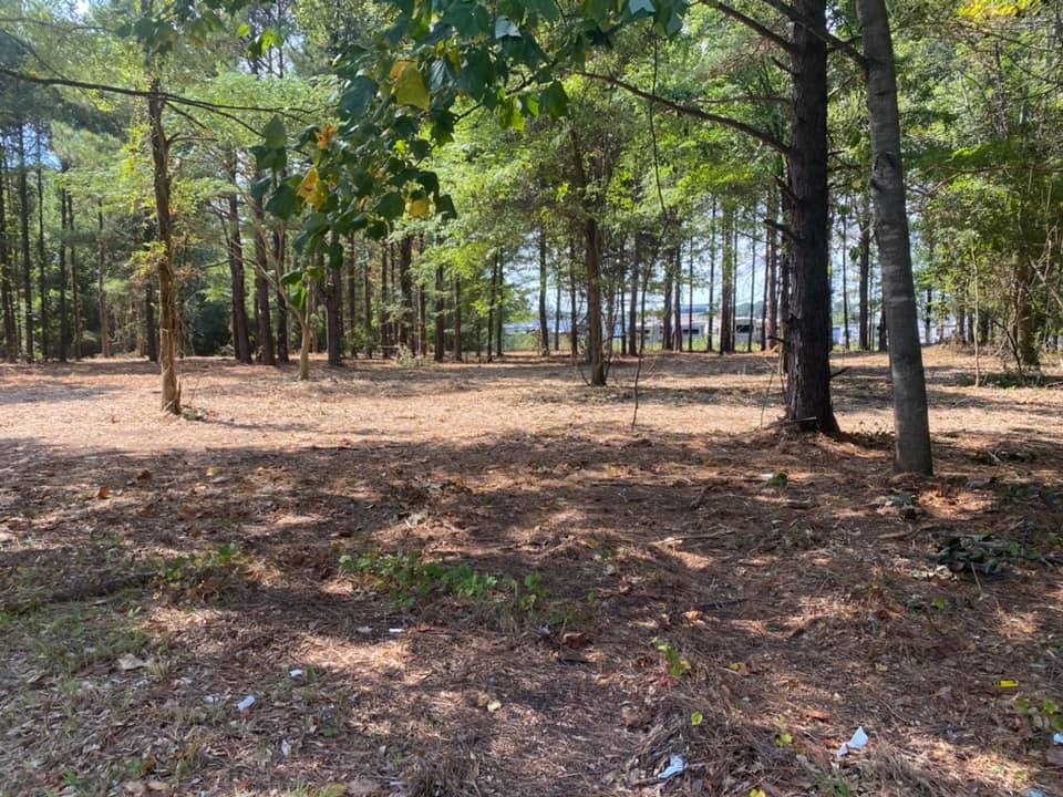 Toland Shipp, LLC | Little Rock AR