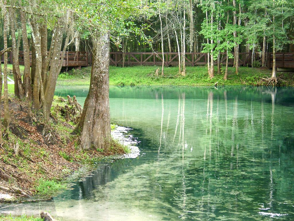 Jobs in Alachua Florida - Hiring in Gainesville, High Springs ...