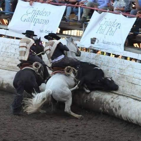 RODEO CHILENO en Paraguay