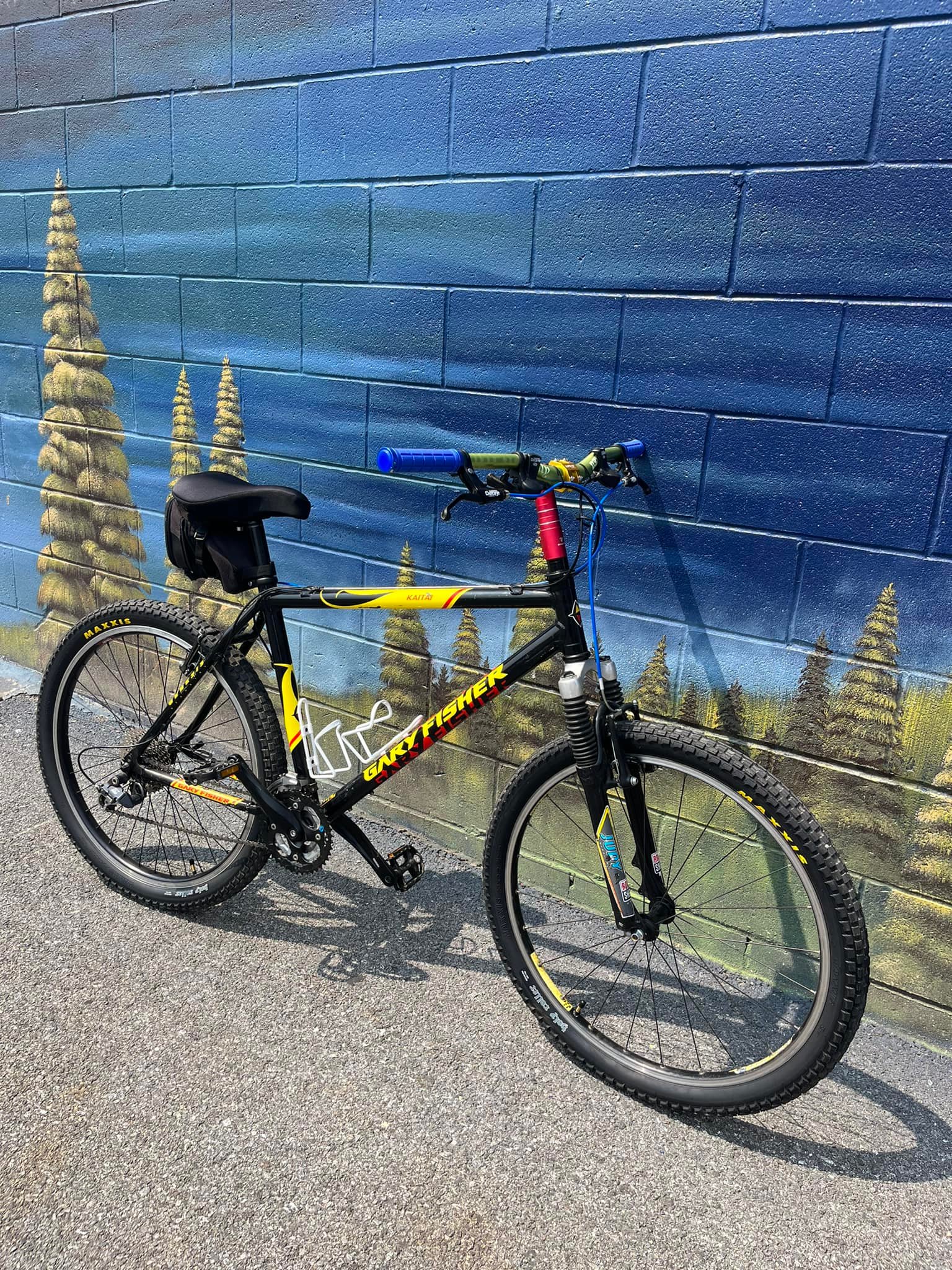 Restored 2000 Gary Fisher Kaitai Mountain Bike for Sale
