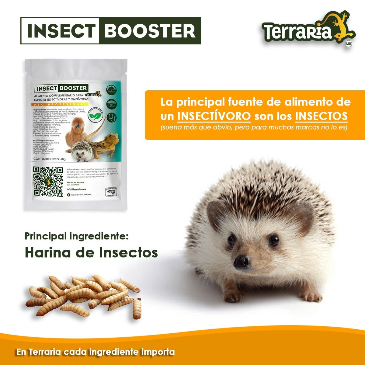 Terraria - Insect Booster, con harína de insectos como... | Facebook