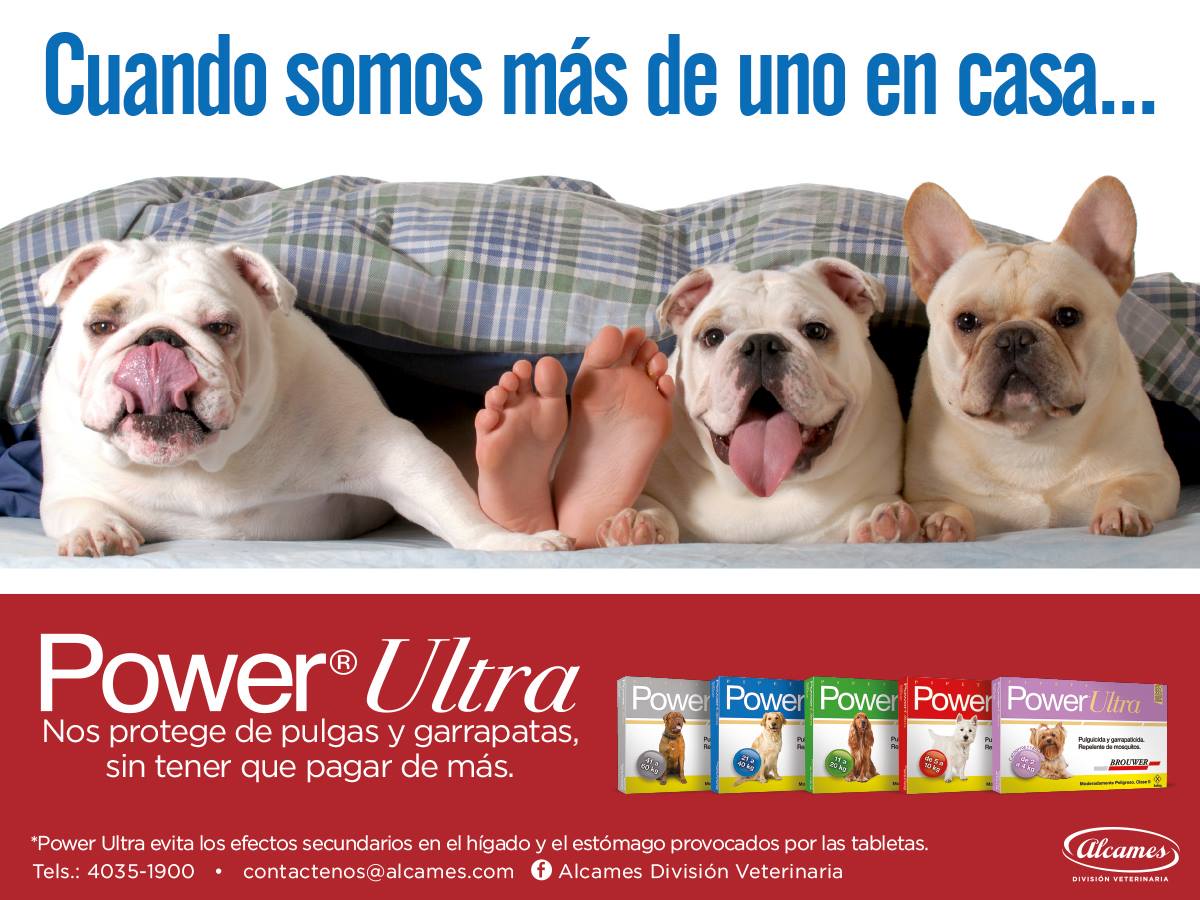 Para prevenir y eliminar... - Alcames División Veterinaria