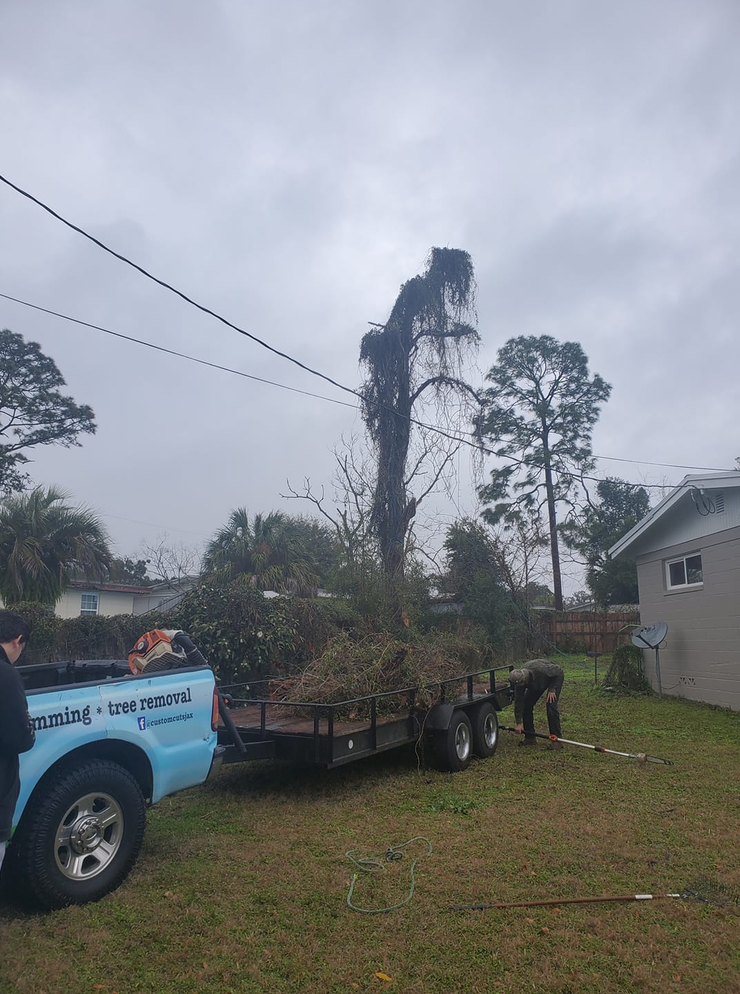 Custom Cuts Tree Service | Jacksonville FL