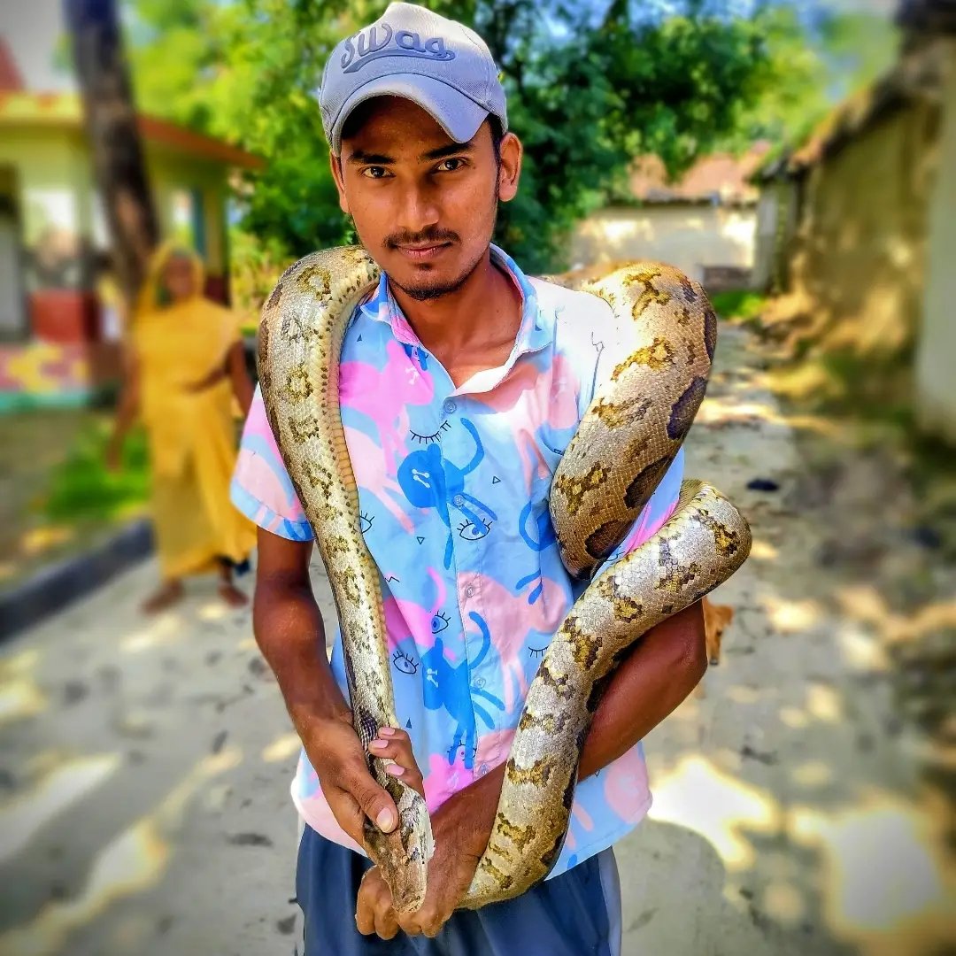 Monitor Lizard 🥽🦎 #monitorlizard #reels #trending #viral #explore ...