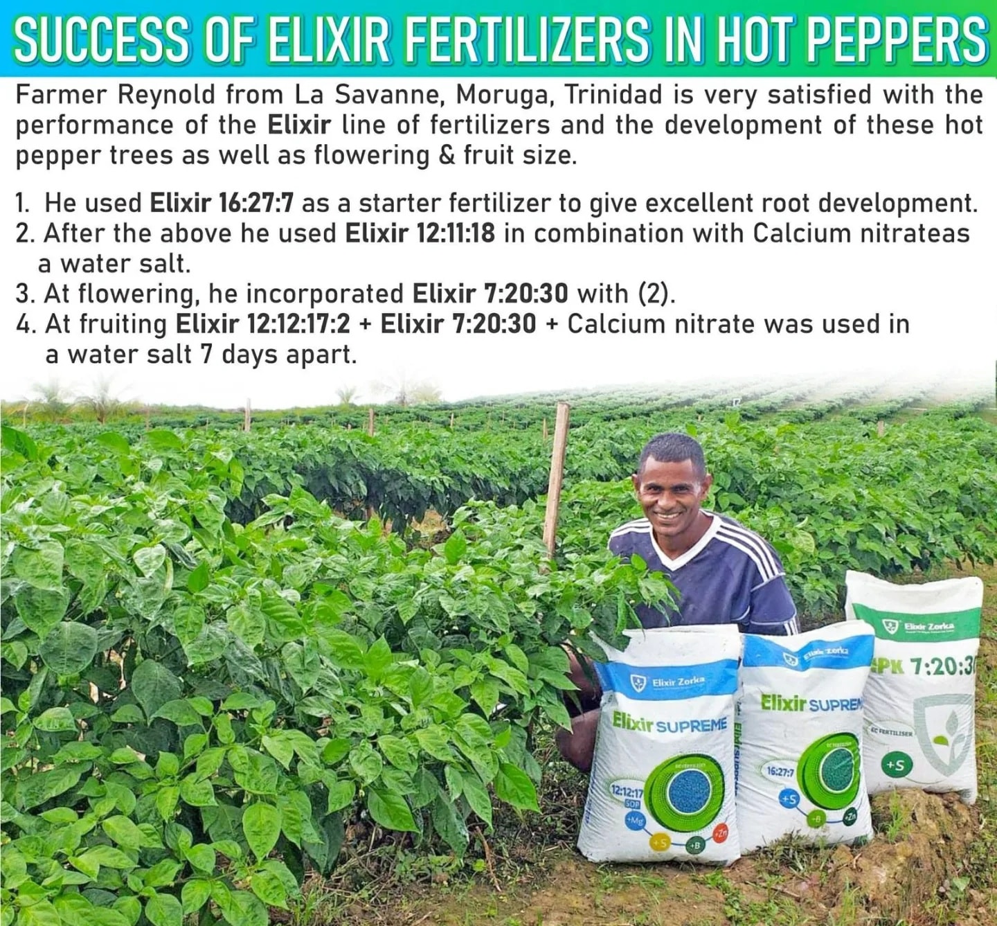 Motee & Son's - Elixir Fertilizers Available Read below...