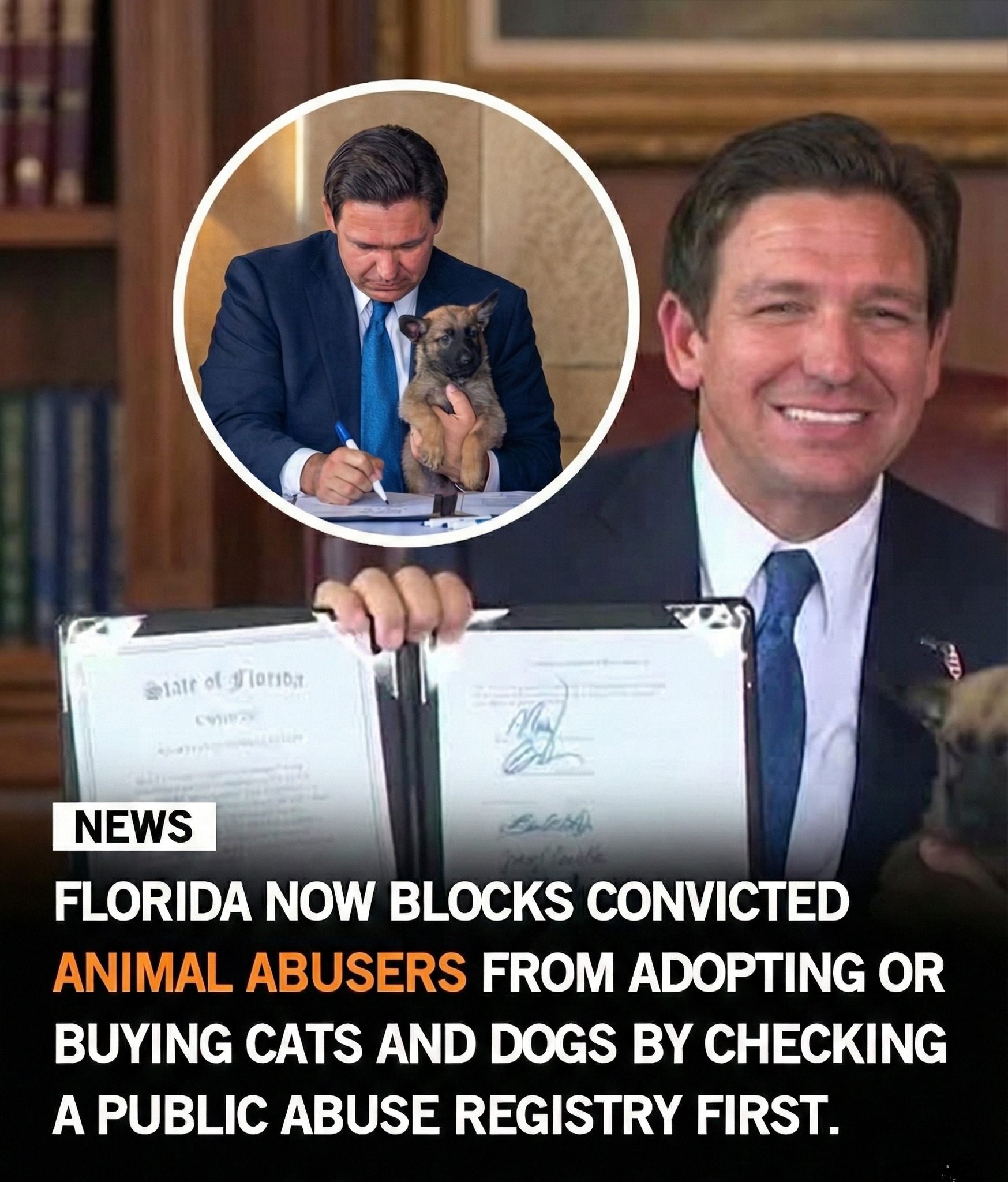 Born Legend - 🐾🚫 A major win for animal protection.... | Facebook
