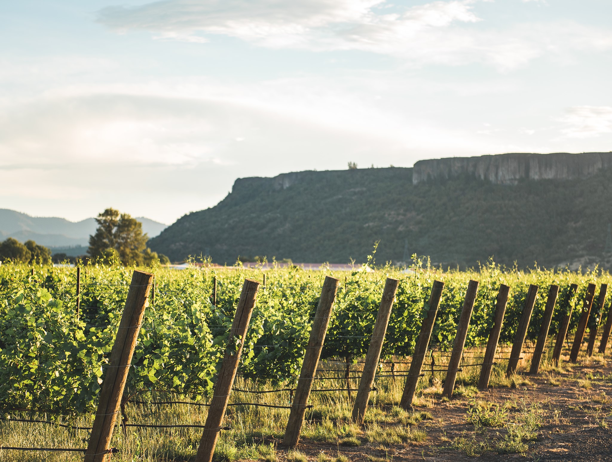 Table Rock Ranch & Vineyard | Central Point OR
