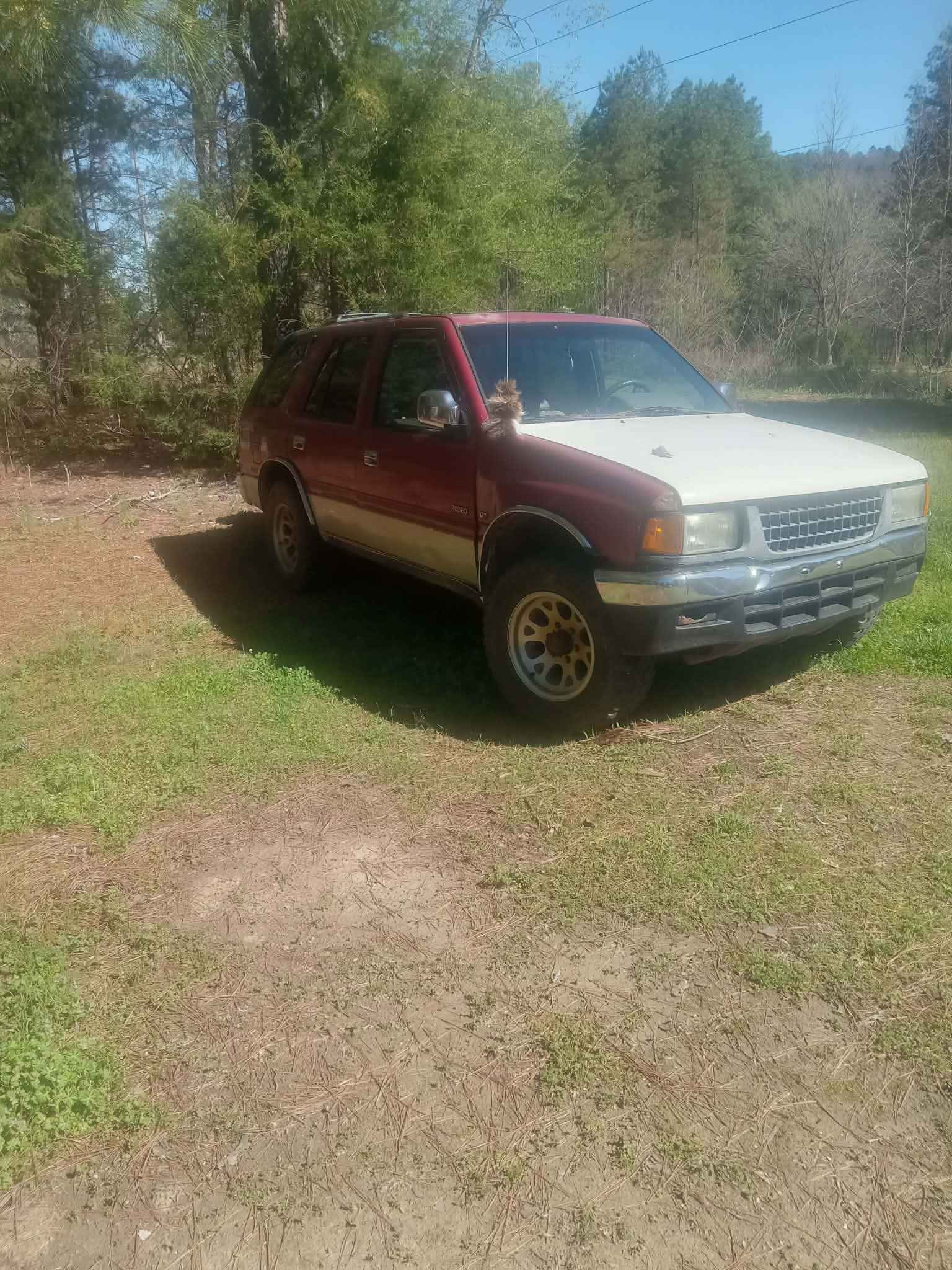1995 Isuzu rodeo 4x4 - Commercial Vehicles - Reece City, Alabama ...