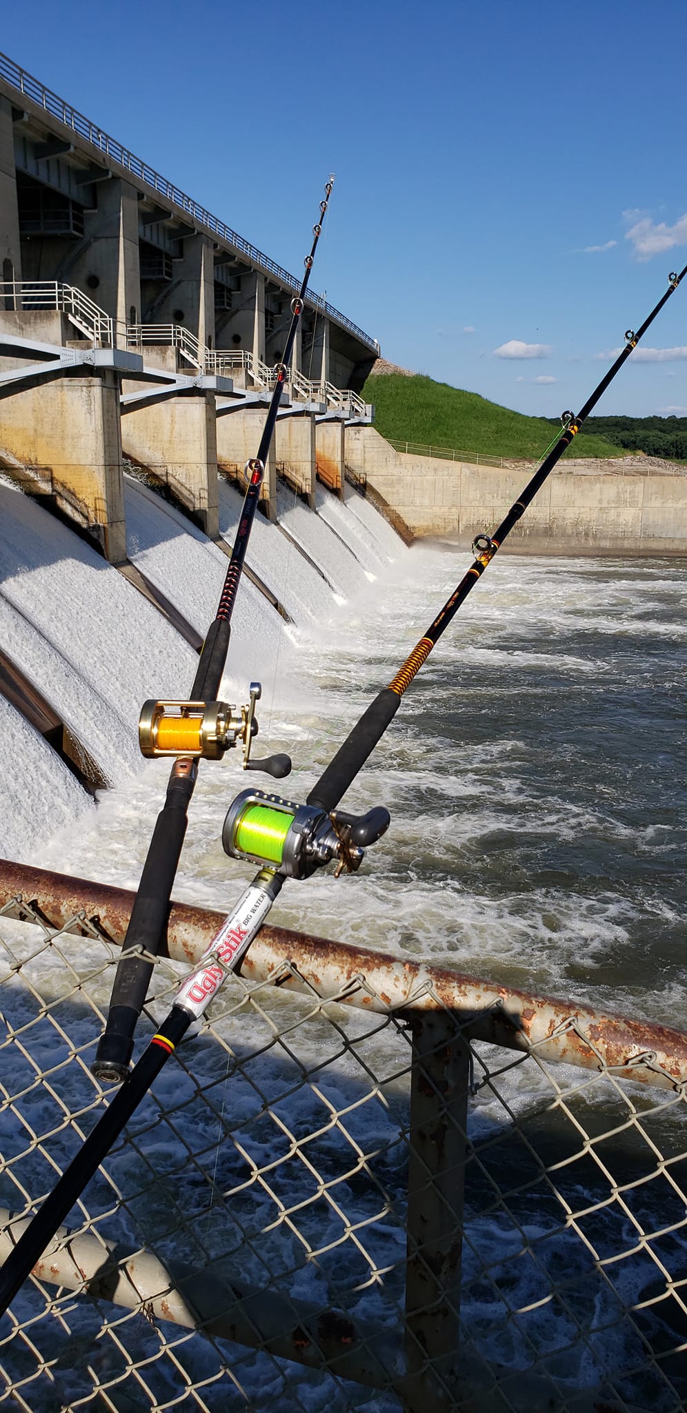 catfish poles for.shore fishing Pro Rod Tcoedm Glowing Luminous Catfish Rod  76 Butt Joint MH/M Power Fast Action Fiblink Catfish Fishing Rod 1