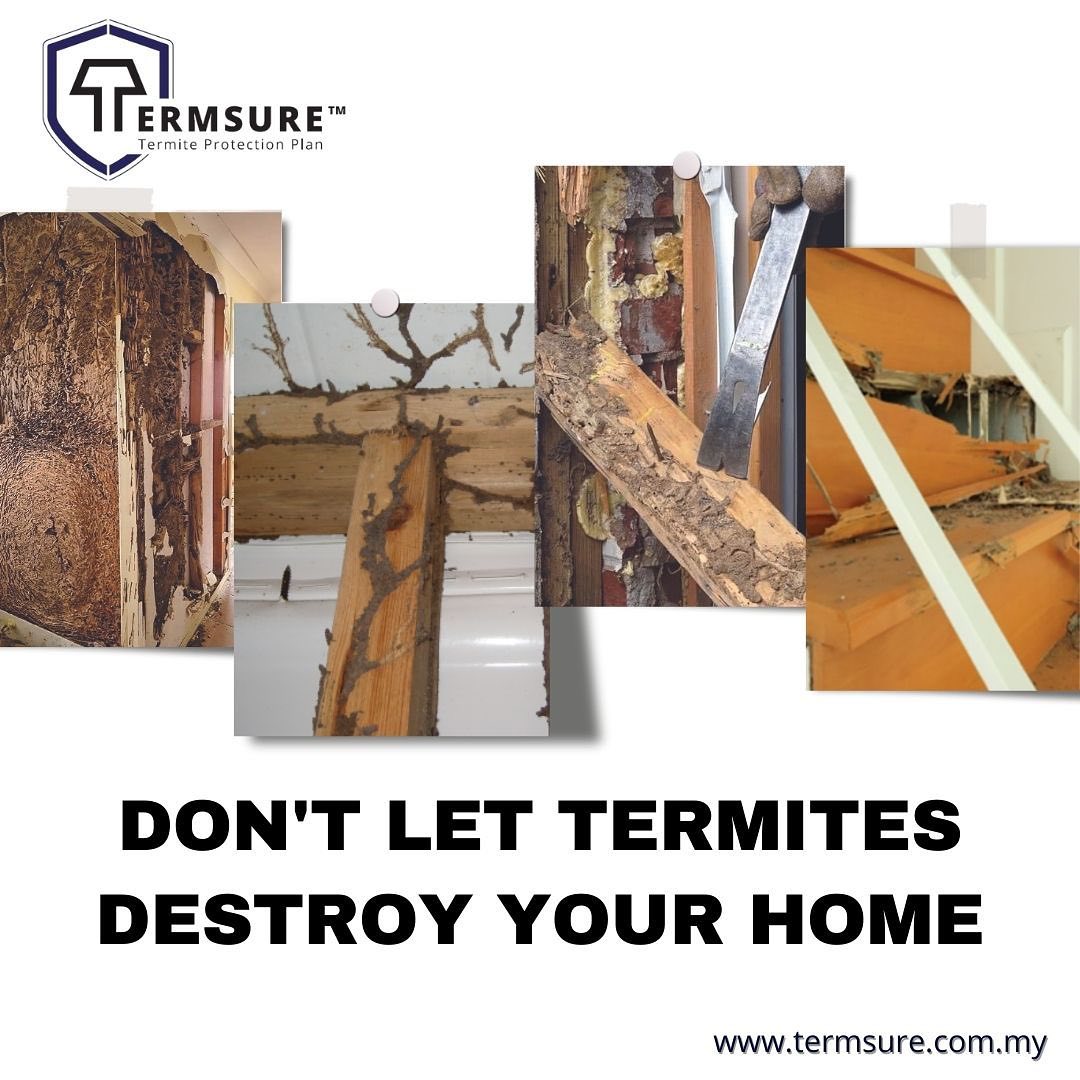 Termsure Termite Protection Plan