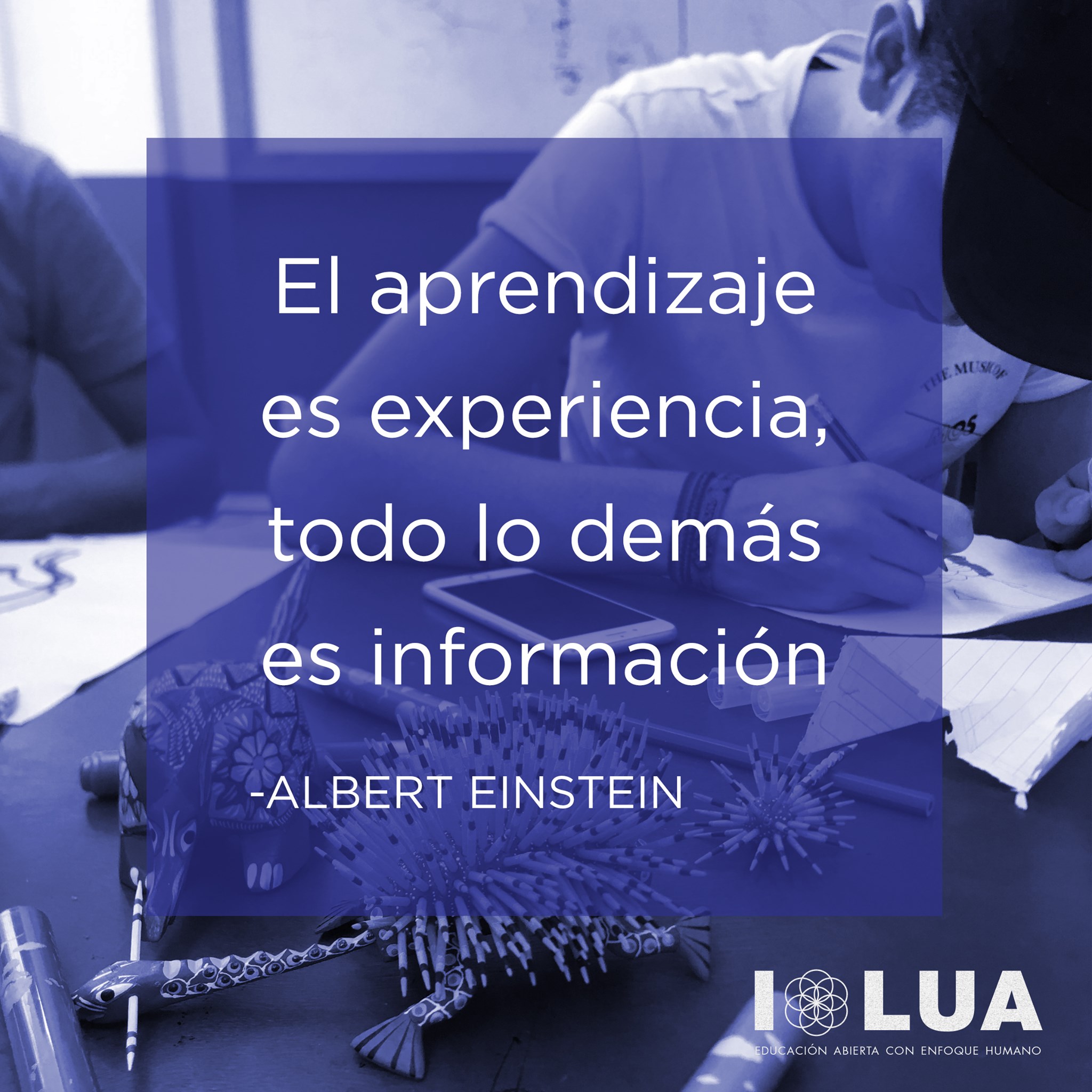 ILUA - CONOCE NUESTRO PLAN DE ESTUDIOS ENFOCADO AL... | Facebook