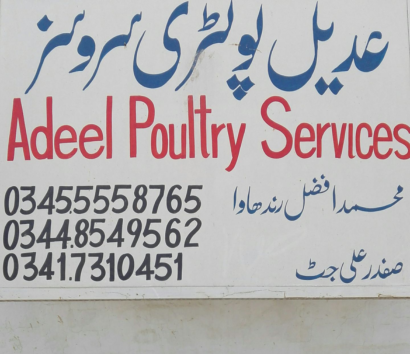AdEel Poultry Services | Layyah