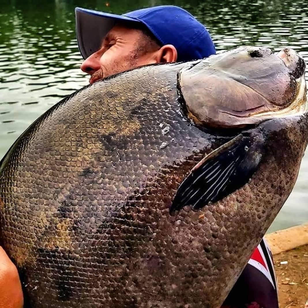 Body Fish - 📸 Boa @ricardocuca @pescaempesqueiros que...