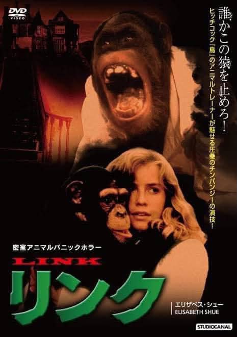 サミュエル・フラー 「殺人地帯U.S.A」 フラーらしいヒリヒリするよう