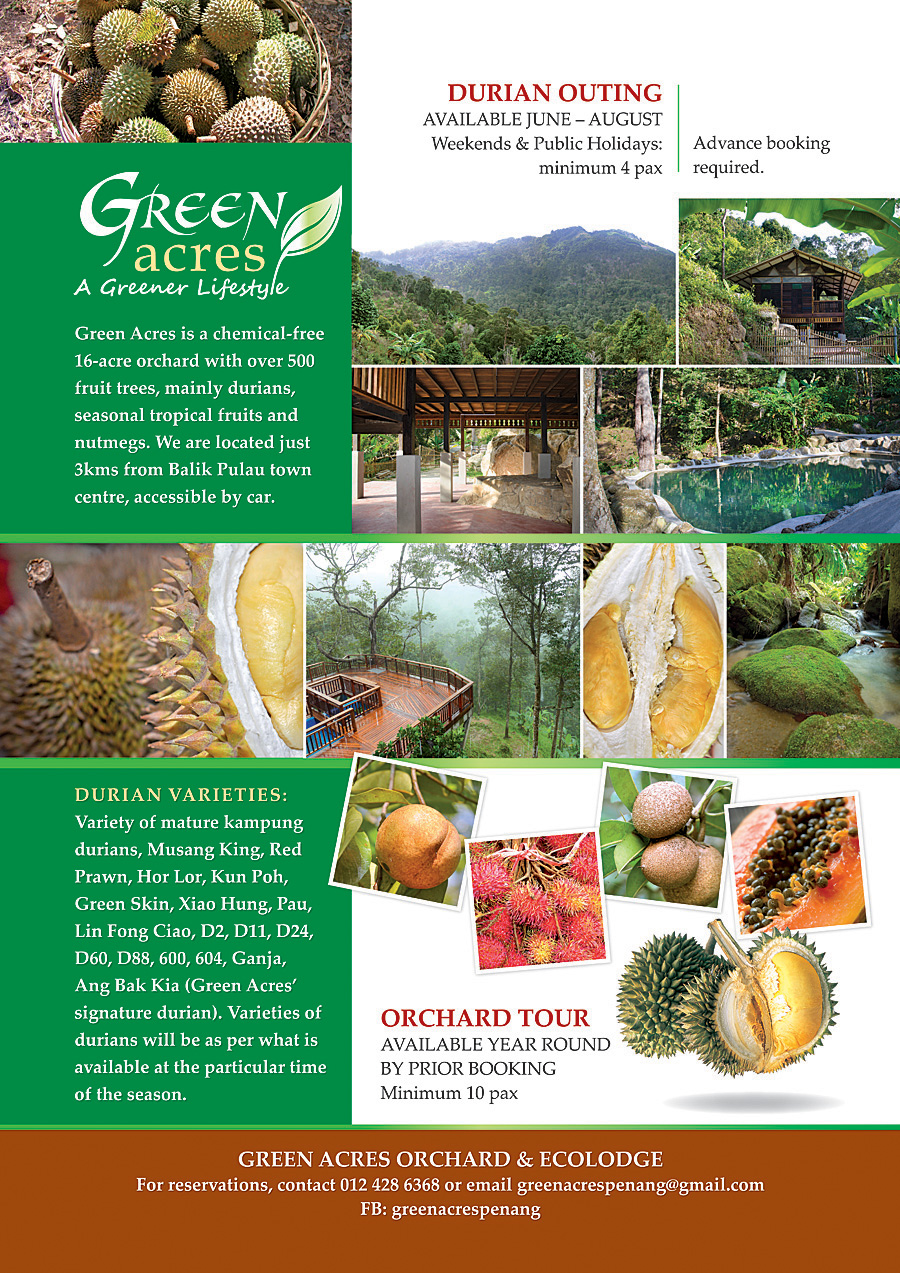 Green Acres Organic Durian Eco Retreat Natural Building Blog