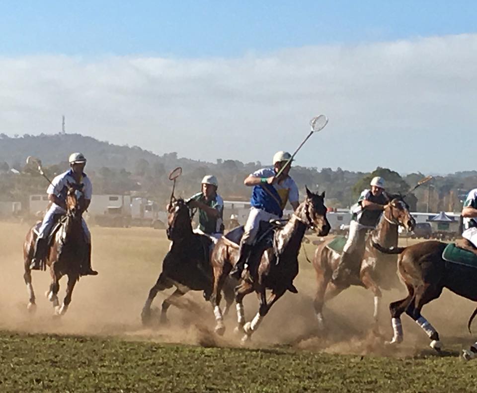 Muswellbrook Polocrosse Club