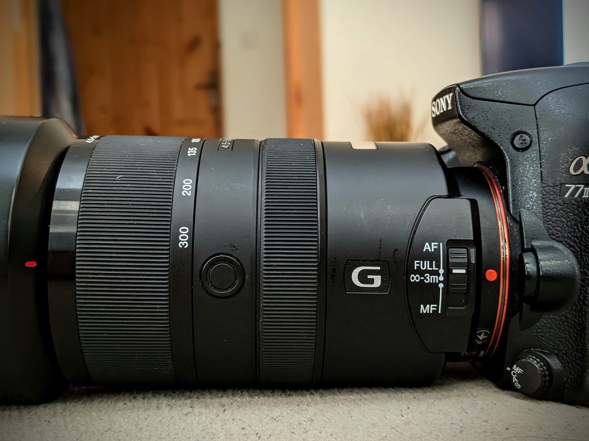 Sony 70-300mm G SSAM lens review